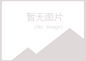 偃师残缺工程有限公司